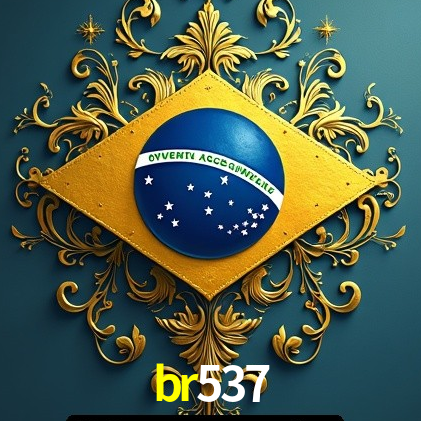 Interface Premium br537